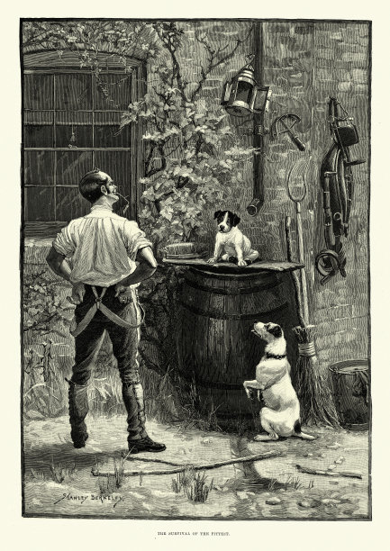 淘气的小狗，被困在水桶上，十九世纪维多利亚时代图片下载