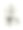 复古插画男子抬头看着猫头鹰坐在空白的方向标志，维多利亚，19世纪图片下载