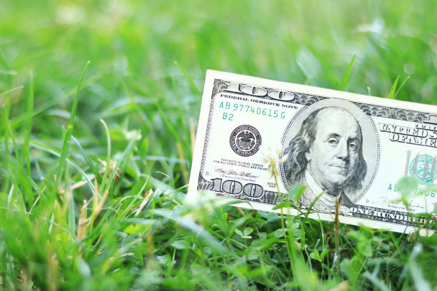 草地上有一张一百美元的美钞图片下载