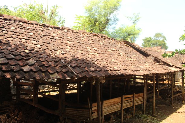 有花纹的红棕色瓦片屋顶图片下载