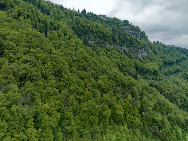 鸟瞰瑞士阿尔卑斯山的林地和岩石。图片下载