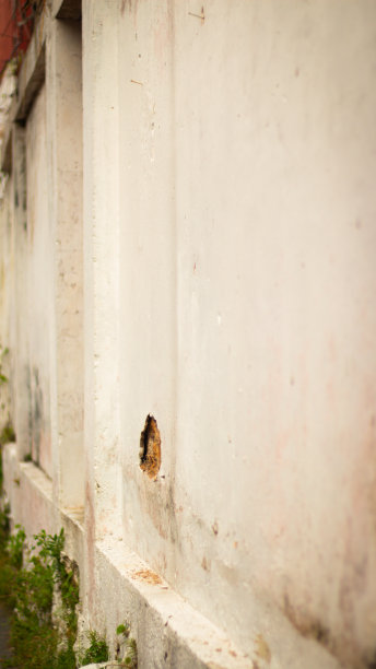 坐落在路边，这座迷人的房子的围墙散发出一种安全和隐私感。图片下载