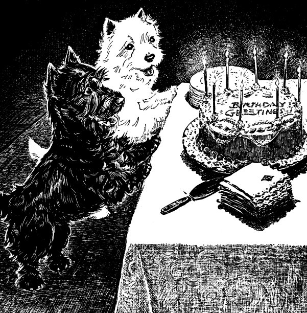 两只狗和生日蛋糕图片下载