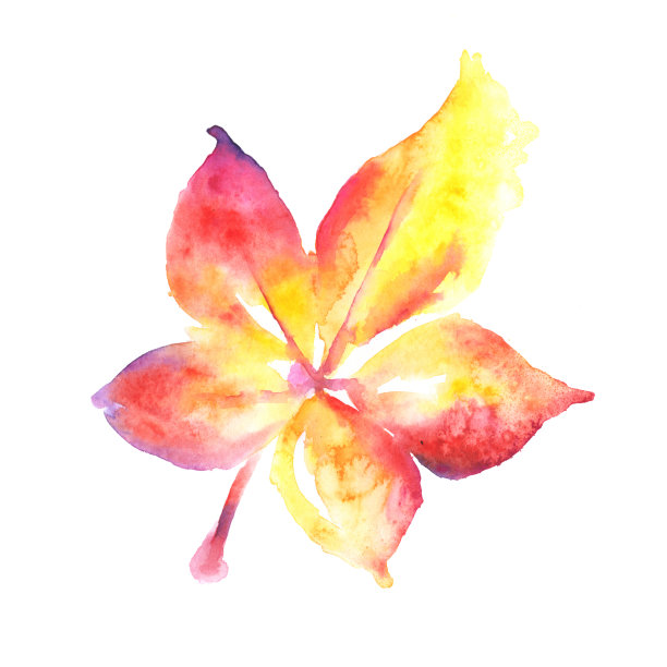 弗吉尼亚藤叶水彩画。光栅图图片下载