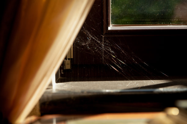 现代窗户角落里的蜘蛛网关上了图片下载