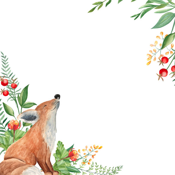 水彩方形森林框架，边界与小狐狸，云莓，蕨类，绿色的树枝，红色和黄色的浆果和野花孤立在白色的背景。手绘植物插图。图片下载