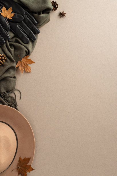 秋季灵感的时尚概念。垂直的头顶镜头，帽檐毡帽，手套，别致的灰色围巾，枫叶，八角，锥体排列在浅米色的表面，允许文字或广告合并图片下载