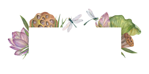 长方形排列着荷花和枯绿的蜻蜓。图片下载