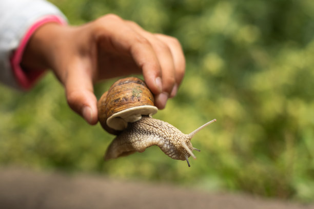 发现蜗牛的孩子图片下载