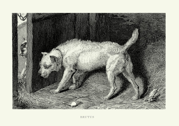 古董雕刻，梗看门从另一只狗雕刻插图图片下载