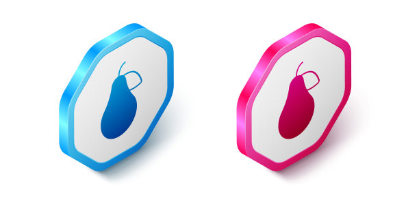 等距梨图标孤立的白色背景。果实带叶符号。六角按钮。向量图片下载