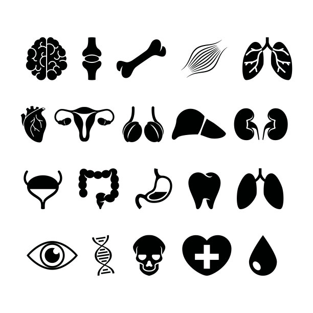 人体内部器官和医学符号黑色图标集矢量图片下载