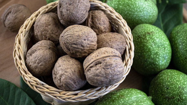特写镜头。篮子里的核桃。成熟和未成熟的青核桃。坚果。图片下载