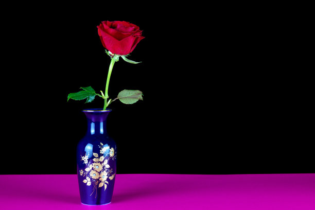 装饰蓝色花瓶与单一的红玫瑰在一个粉红色的表面和黑色的背景图片下载