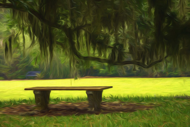 佛罗里达州南部一棵活橡树下的花园长凳图片下载