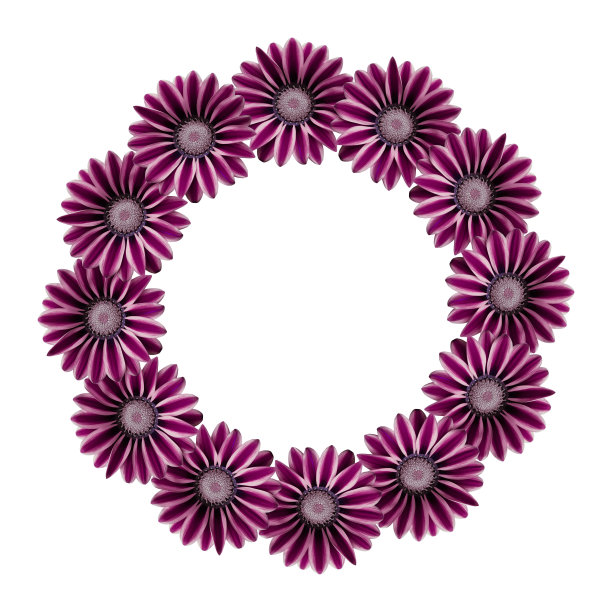 圆形插花。粉红色和紫色的花孤立在白色背景上。婚礼设计元素。节日插花。花的边缘。帧的花。副本的空间。图片下载