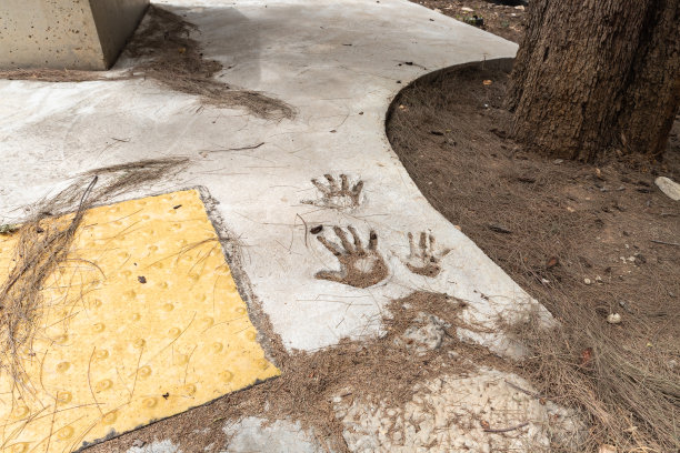 以色列北部海法附近Ein Hod著名艺术家村的混凝土装饰手印图片下载