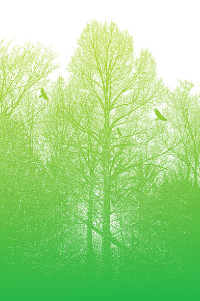 深秋的树木和乌鸦图片下载