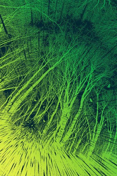 深秋的树木和乌鸦图片下载