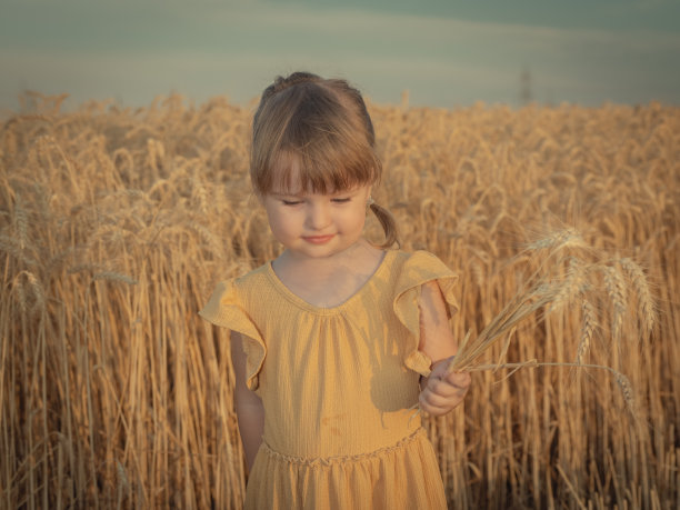 一个小女孩站在麦田中央，手里拿着麦子图片下载