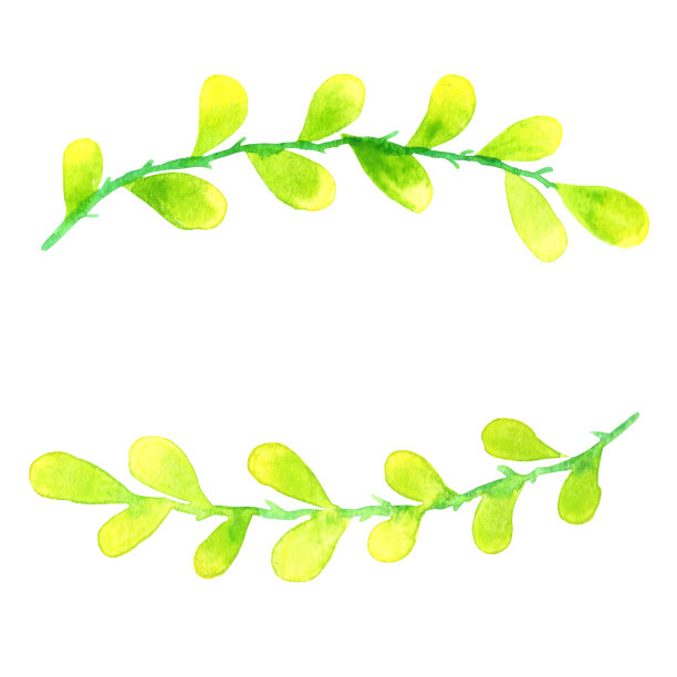 绿叶环抱水彩，装饰自然园林，健康健康。图片下载