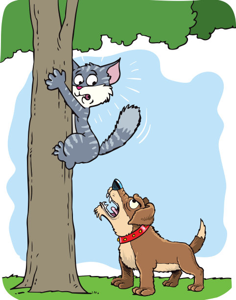 狗和猫图片下载