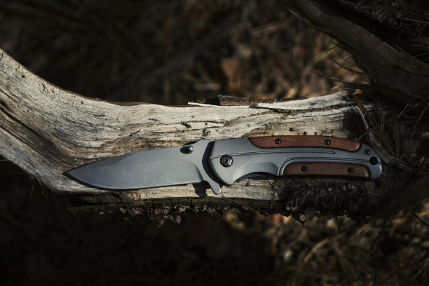 木柄折刀躺在森林里倒下的树上。图片下载