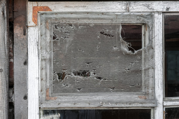 村舍旧木窗框上的破蚊帐图片下载