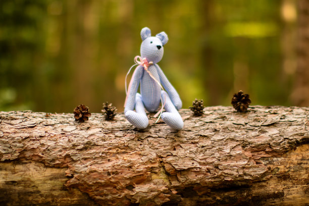 玩具熊坐在森林里的树干上图片下载