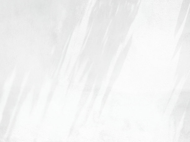 浅色阴影背景，白色覆盖灰色墙壁水泥大理石，抽象阳光叶自然植物从窗户在地板上的房间模板最小的产品，背景摄影现代模型优雅图片下载