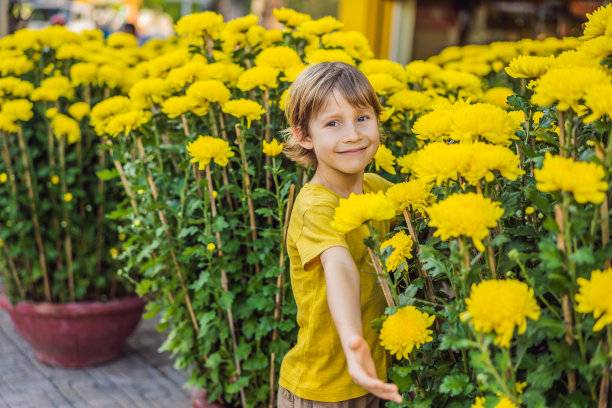春节假期的高加索游客男孩。越南农历新年在春天图片下载