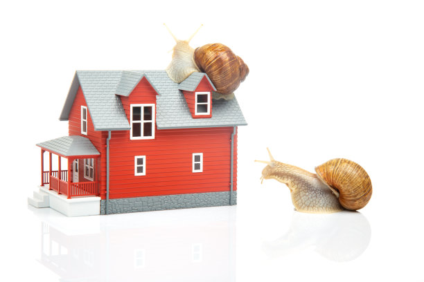白色背景上的屋顶蜗牛模型。居家舒适和居家生活的概念图片下载