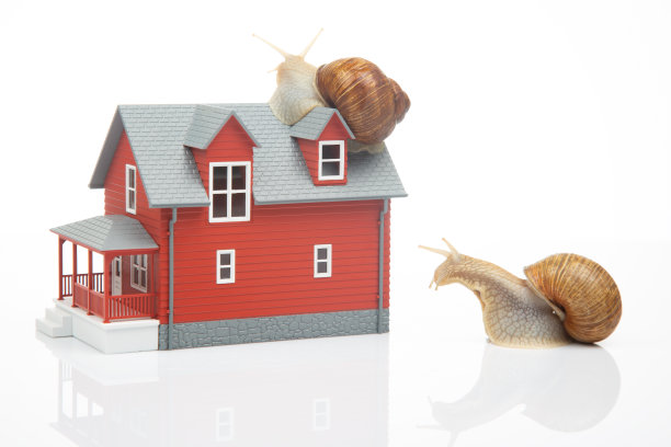 白色背景上的屋顶蜗牛模型。居家舒适和居家生活的概念图片下载