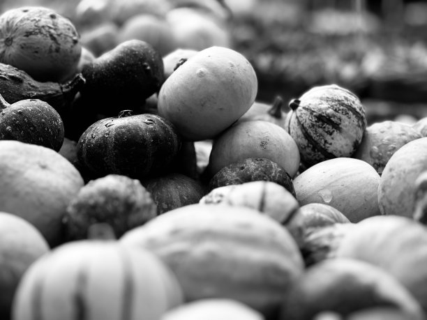 出售的南瓜特写图片下载