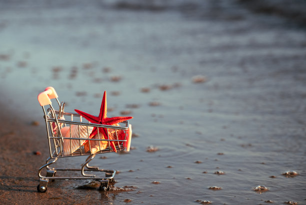 海滩上装满贝壳和其他海洋纪念品的篮子。禁止向国外出口稀有海洋发现的概念。高质量照片图片下载