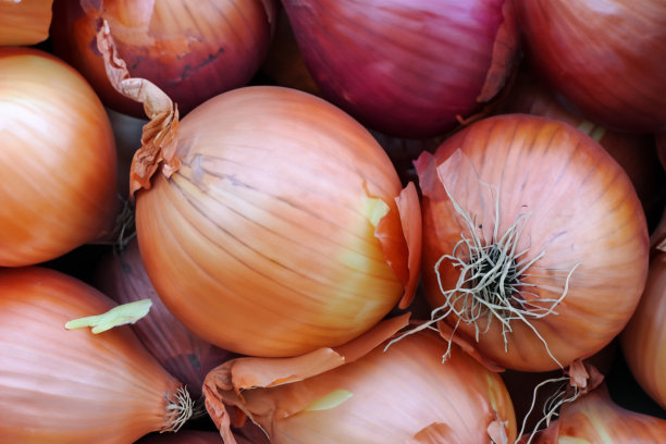 新鲜洋葱为背景，蔬菜为健康。图片下载