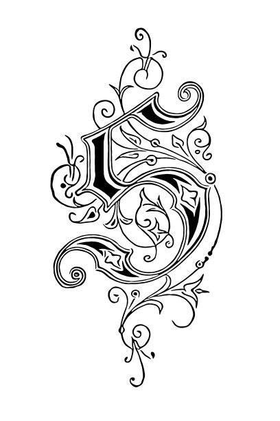 华丽的字母S图片下载