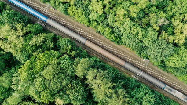 铁轨上的火车穿过一片郁郁葱葱的绿色森林，铁轨在另一边图片下载