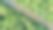 铁轨上的火车穿过一片郁郁葱葱的绿色森林，铁轨在另一边图片下载