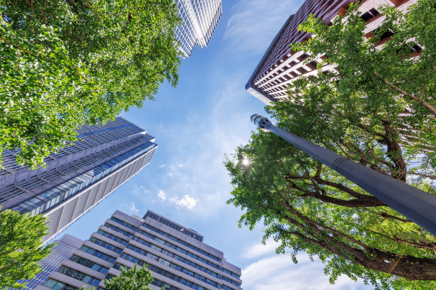美丽的蓝天和城市建筑图片下载