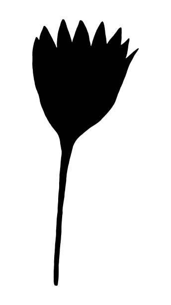 手绘花剪影。黑色花卉插图。图片下载