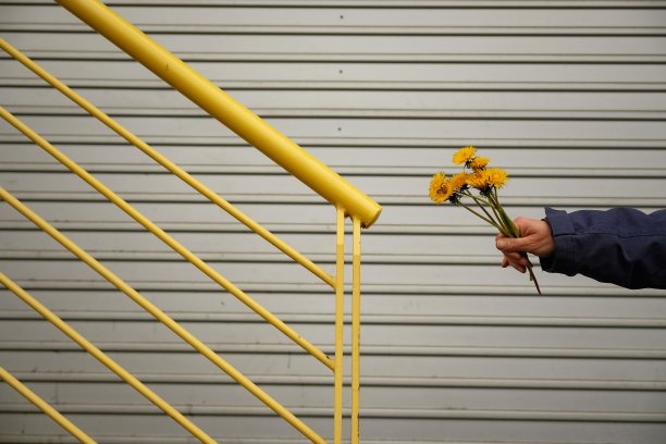 黄色的图片下载