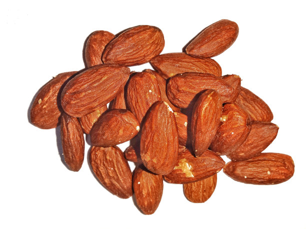 杏仁图片下载