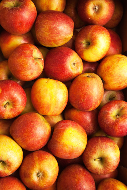背景来自成熟的红黄苹果。图片下载
