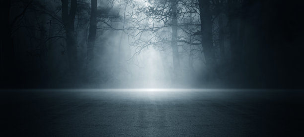 黑暗的空景，夜景，幽暗的森林，大自然的景象与森林和月光，夜景的森林，雾，烟雾，烟雾，街道沥青地板，神秘的魔术主题图片下载
