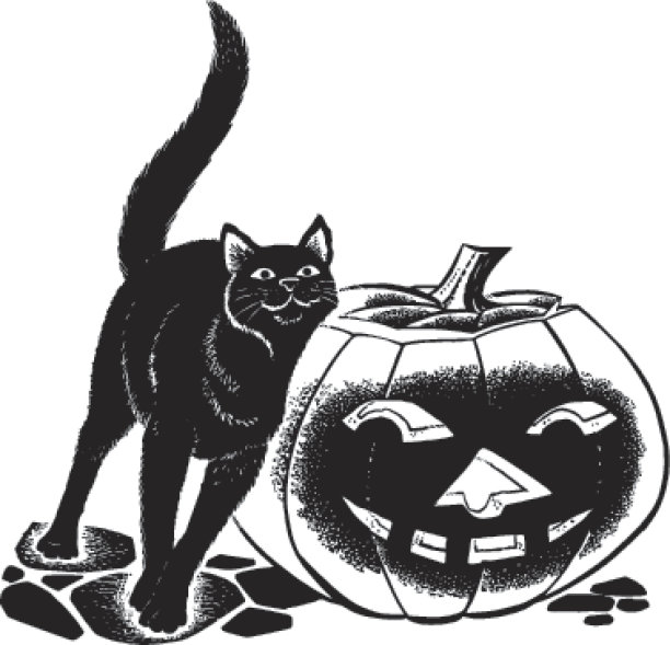黑猫和雕刻南瓜图片下载