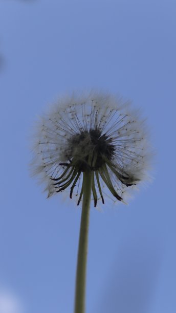 站着不动图片下载