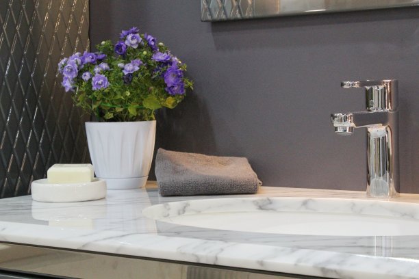 现代住宅中的小现代浴室内部。时尚的装饰元素的房子。瓷水槽和装饰植物在公寓。带有硬件的新潮主机图片下载