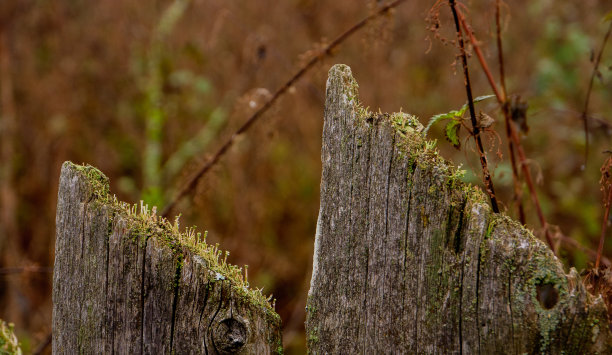 乡村旧木篱笆上的木板。图片下载