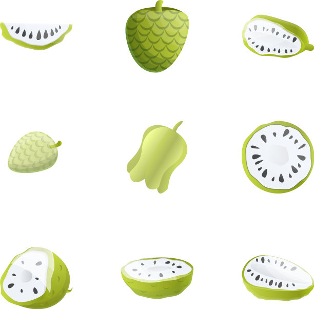 柑橘soursop图标设置卡通风格图片下载